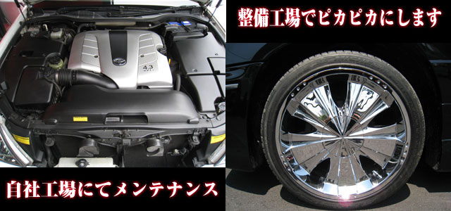 eiX͂C